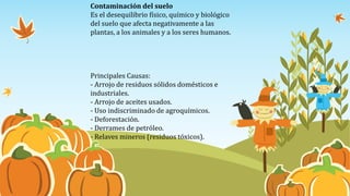 Contaminación del suelo
Es el desequilibrio físico, químico y biológico
del suelo que afecta negativamente a las
plantas, a los animales y a los seres humanos.
Principales Causas:
- Arrojo de residuos sólidos domésticos e
industriales.
- Arrojo de aceites usados.
- Uso indiscriminado de agroquímicos.
- Deforestación.
- Derrames de petróleo.
- Relaves mineros (residuos tóxicos).
 