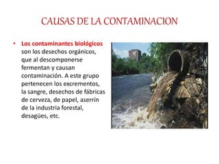 CAUSAS DE LA CONTAMINACION
• Los contaminantes biológicos
son los desechos orgánicos,
que al descomponerse
fermentan y causan
contaminación. A este grupo
pertenecen los excrementos,
la sangre, desechos de fábricas
de cerveza, de papel, aserrín
de la industria forestal,
desagües, etc.
 