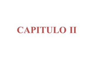 CAPITULO II
 