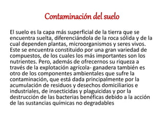 Contaminación del suelo
El suelo es la capa más superficial de la tierra que se
encuentra suelta, diferenciándola de la roca sólida y de la
cual dependen plantas, microorganismos y seres vivos.
Este se encuentra constituido por una gran variedad de
compuestos, de los cuales los más importantes son los
nutrientes. Pero, además de ofrecernos su riqueza a
través de la explotación agrícola- ganadera también es
otro de los componentes ambientales que sufre la
contaminación, que está dada principalmente por la
acumulación de residuos y desechos domiciliarios e
industriales, de insecticidas y plaguicidas y por la
destrucción de las bacterias benéficas debido a la acción
de las sustancias químicas no degradables
 