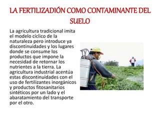 LA FERTILIZADIÓN COMO CONTAMINANTE DEL
SUELO
La agricultura tradicional imita
el modelo cíclico de la
naturaleza pero introduce ya
discontinuidades y los lugares
donde se consume los
productos que impone la
necesidad de retornar los
nutrientes a la tierra. La
agricultura industrial acentúa
estas discontinuidades con el
uso de fertilizantes inorgánicos
y productos fitosanitarios
sintéticos por un lado y el
abaratamiento del transporte
por el otro.
 