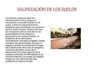 SALINIZACIÓN DE LOS SUELOS
Las mismas sustancias que han
contaminado el aire y el agua se
encuentran a menudo latentes en el
suelo, a veces en concentraciones
peligrosas que constituyen una amenaza
para la salud humana. Si bien este tipo
de situaciones sólo se solía dar en las
proximidades de las industrias
generadoras de residuos tóxicos, el
problema de la salinización,
normalmente asociado al regadío, estaba
bastante más generalizado. Aunque el
regadío siempre ha conllevado el riesgo
de la destrucción del suelo al anegarlo y
salinizarlo (posibles causas de la
destrucción de la base agrícola de la
antigua civilización de Mesopotamia en
Oriente Próximo), los niveles de regadío
modernos han intensificado este
problema en todo el mundo.
 
