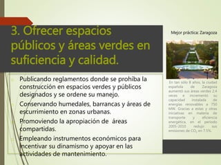 3. Ofrecer espacios
públicos y áreas verdes en
suficiencia y calidad.
o Publicando reglamentos donde se prohíba la
construcción en espacios verdes y públicos
designados y se ordene su manejo.
o Conservando humedales, barrancas y áreas de
escurrimiento en zonas urbanas.
o Promoviendo la apropiación de áreas
compartidas.
o Empleando instrumentos económicos para
incentivar su dinamismo y apoyar en las
actividades de mantenimiento.
En tan sólo 8 años, la ciudad
española de Zaragoza
aumentó sus áreas verdes 2.4
veces e incrementó su
capacidad instalada de
energías renovables a 750
MW. Gracias a estas y otras
iniciativas en materia de
transporte y eficiencia
energética, en el periodo
2005-2010 redujo sus
emisiones de CO2 en 7.5%.
Mejor práctica: Zaragoza
 