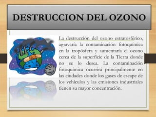 • La destrucción del ozono estratosférico,
agravaría la contaminación fotoquímica
en la tropósfera y aumentaría el ozono
cerca de la superficie de la Tierra donde
no se lo desea. La contaminación
fotoquímica ocurrirá principalmente en
las ciudades donde los gases de escape de
los vehículos y las emisiones industriales
tienen su mayor concentración.
DESTRUCCION DEL OZONO
 
