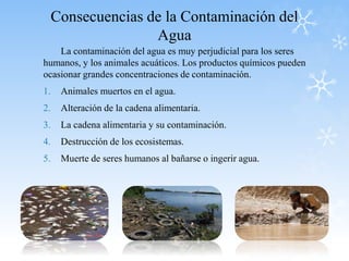 Consecuencias de la Contaminación del
Agua
La contaminación del agua es muy perjudicial para los seres
humanos, y los animales acuáticos. Los productos químicos pueden
ocasionar grandes concentraciones de contaminación.
1. Animales muertos en el agua.
2. Alteración de la cadena alimentaria.
3. La cadena alimentaria y su contaminación.
4. Destrucción de los ecosistemas.
5. Muerte de seres humanos al bañarse o ingerir agua.
 