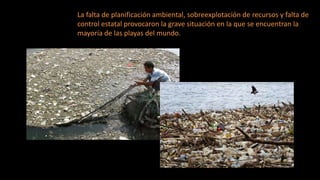 La falta de planificación ambiental, sobreexplotación de recursos y falta de
control estatal provocaron la grave situación en la que se encuentran la
mayoría de las playas del mundo.
 