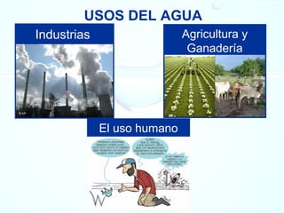 USOS DEL AGUA
Industrias Agricultura y
Ganadería
El uso humano
 