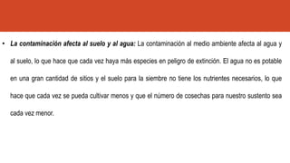 • La contaminación afecta al suelo y al agua: La contaminación al medio ambiente afecta al agua y
al suelo, lo que hace que cada vez haya más especies en peligro de extinción. El agua no es potable
en una gran cantidad de sitios y el suelo para la siembre no tiene los nutrientes necesarios, lo que
hace que cada vez se pueda cultivar menos y que el número de cosechas para nuestro sustento sea
cada vez menor.
 