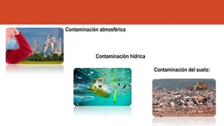 Contaminación atmosférica
Contaminación hídrica
Contaminación del suelo:
 