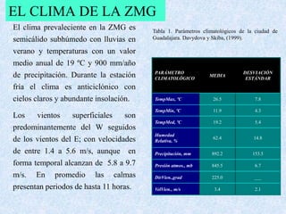 EL CLIMA DE LA ZMG 
PARÁMETRO 
CLIMATOLÓGICO 
MEDIA 
DESVIACIÓN 
ESTÁNDAR 
TempMax, ºC 26.5 7.8 
TempMin, ºC 11.9 4.3 
TempMed, ºC 19.2 5.4 
Humedad 
Relativa, % 
62.4 14.8 
Precipitación, mm 892.2 153.5 
Presión atmos., mb 845.5 6.7 
DirVien.,grad 225.0 ___ 
VelVien., m/s 3.4 2.1 
El clima prevaleciente en la ZMG es 
semicálido subhúmedo con lluvias en 
verano y temperaturas con un valor 
medio anual de 19 ºC y 900 mm/año 
de precipitación. Durante la estación 
fría el clima es anticiclónico con 
cielos claros y abundante insolación. 
Los vientos superficiales son 
predominantemente del W seguidos 
de los vientos del E; con velocidades 
de entre 1.4 a 5.6 m/s, aunque en 
forma temporal alcanzan de 5.8 a 9.7 
m/s. En promedio las calmas 
presentan periodos de hasta 11 horas. 
Tabla 1. Parámetros climatológicos de la ciudad de 
Guadalajara. Davydova y Skiba, (1999). 
 