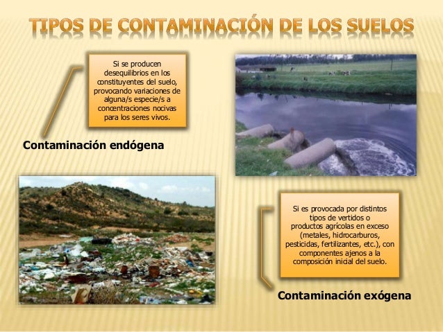 Resultado de imagen para la contaminacion del suelo endogena