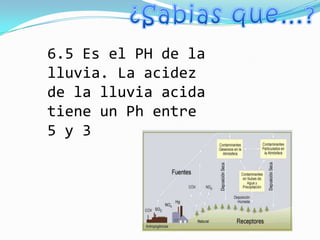 6.5 Es el PH de la
lluvia. La acidez
de la lluvia acida
tiene un Ph entre
5 y 3
 