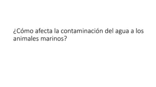 ¿Cómo afecta la contaminación del agua a los
animales marinos?
 