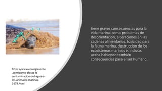 tiene graves consecuencias para la
vida marina, como problemas de
desorientación, alteraciones en las
cadenas alimentarias, toxicidad para
la fauna marina, destrucción de los
ecosistemas marinos e, incluso,
acaba habiendo también
consecuencias para el ser humano.
https://www.ecologiaverde
.com/como-afecta-la-
contaminacion-del-agua-a-
los-animales-marinos-
1679.html
 