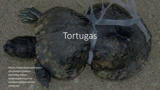 Tortugas
https://noticieros.televisa.c
om/historia/estos-
animales-estan-
amenazados-por-la-
contaminacion-en-los-
oceanos/
 