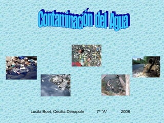 Lucila Boet, Cecilia Denapole  7º “A”  2008 Contaminación  del  Agua 
