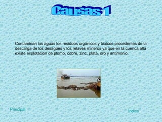 Causas 1 Contaminan las aguas los residuos orgánicos y tóxicos procedentes de la descarga de los desagües y los relaves mineros ya que en la cuenca alta existe explotación de plomo, cobre, zinc, plata, oro y antimonio.     Índice Principal 