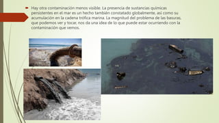  Hay otra contaminación menos visible. La presencia de sustancias químicas
persistentes en el mar es un hecho también constatado globalmente, así como su
acumulación en la cadena trófica marina. La magnitud del problema de las basuras,
que podemos ver y tocar, nos da una idea de lo que puede estar ocurriendo con la
contaminación que vemos.
 