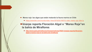  Marea roja: las algas que están matando la fauna marina en Chile
 https://www.bbc.com/mundo/video_fotos/2016/05/160510_video_marea_roja_chile_lp
Imarpe reporta Floración Algal o “Marea Roja”en
la bahía de Miraflores
 http://www.gob.pe/institucion/imarpe/noticias/79221-imarpe-reporta-floracion-
algal-o-marea-roja-en-la-bahia-de-miraflores
 