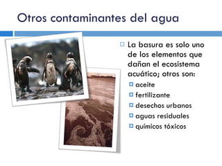Otros contaminantes del agua La basura es solo uno de los elementos que dañan el ecosistema acuático; otros son: aceite fertilizante desechos urbanos aguas residuales químicos tóxicos 