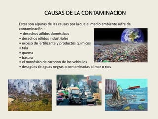 Estas son algunas de las causas por la que el medio ambiente sufre de
contaminación :
• desechos sólidos domésticos
• desechos sólidos industriales
• exceso de fertilizante y productos químicos
• tala
• quema
• basura
• el monóxido de carbono de los vehículos
• desagües de aguas negras o contaminadas al mar o ríos
CAUSAS DE LA CONTAMINACION
 