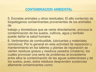 Contaminacion Ambiental