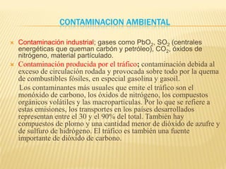 Contaminacion Ambiental