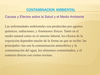 Contaminacion Ambiental
