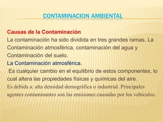 Contaminacion Ambiental