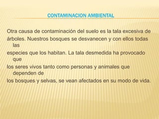 Contaminacion Ambiental