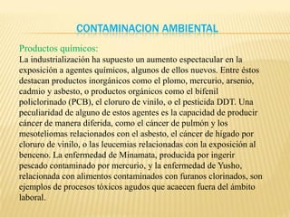 Contaminacion Ambiental