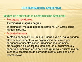 Contaminacion Ambiental