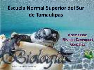 Escuela Normal Superior del Sur de Tamaulipas Normalista: Elisabet Davenport González 