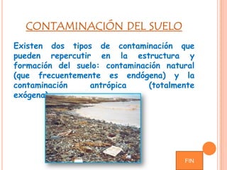 CONTAMINACIÓN DEL SUELO
Existen dos tipos de contaminación que
pueden repercutir en la estructura y
formación del suelo: contaminación natural
(que frecuentemente es endógena) y la
contaminación antrópica (totalmente
exógena).
FIN
 