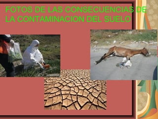 FOTOS DE LAS CONSECUENCIAS DE
LA CONTAMINACION DEL SUELO
 