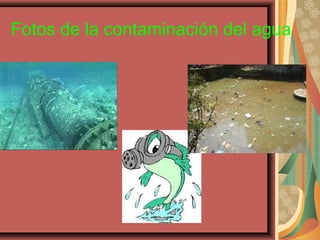 Fotos de la contaminación del agua
 