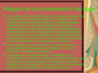 Riesgos de la contaminación del agua
Los riesgos de la contaminación del agua incluyen los
que afectan a la salud humana. La presencia de
nitratos (sales del ácido nítrico) en el agua potable
puede producir una enfermedad infantil que en
ocasiones es mortal. El presente en los fertilizantes
derivados del cieno o lodo puede ser absorbido por
las cosechas, de ser ingerida en cantidad suficiente,
el metal puede producir un trastorno diarreico agudo,
así como lesiones en el hígado y los riñones.
Hace tiempo que se conoce o se sospecha de la
peligrosidad de sustancias inorgánicas, como el
mercurio, el arsénico y el plano.
Los lagos son especialmente vulnerables a la
contaminación. Hay un problema, la eutrofización, que
se produce cuando el agua se enriquece de modo
artificial con nutrientes, lo que produce un crecimiento
anormal de las plantas y animales acuáticos
 