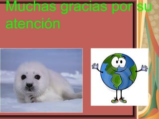 Muchas gracias por su
atención
 