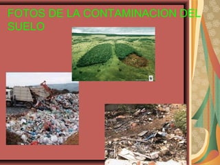 FOTOS DE LA CONTAMINACION DEL
SUELO
 