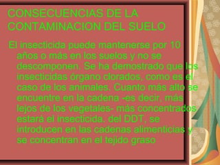 CONSECUENCIAS DE LA
CONTAMINACION DEL SUELO
El insecticida puede mantenerse por 10
años o más en los suelos y no se
descomponen. Se ha demostrado que los
insecticidas órgano clorados, como es el
caso de los animales. Cuanto más alto se
encuentre en la cadena -es decir, más
lejos de los vegetales- más concentrados
estará el insecticida. del DDT, se
introducen en las cadenas alimenticias y
se concentran en el tejido graso
 