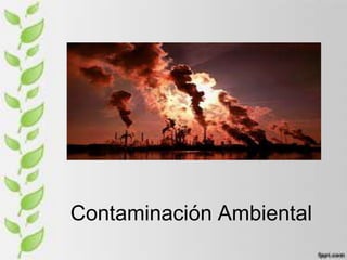 Contaminación Ambiental
 