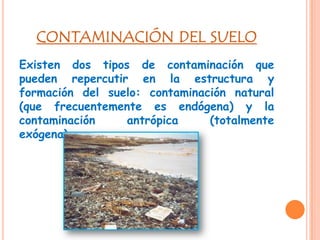 CONTAMINACIÓN DEL SUELO
Existen dos tipos de contaminación que
pueden repercutir en la estructura y
formación del suelo: contaminación natural
(que frecuentemente es endógena) y la
contaminación
antrópica
(totalmente
exógena).

 