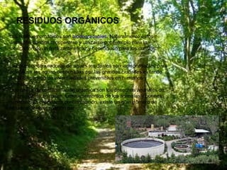 RESIDUOS ORGÁNICOS
Los residuos orgánicos son biodegradables. Naturalmente estos
desechos pueden recuperarse y utilizarse por ejemplo para la
fabricación de un fertilizante eficaz y beneficioso para los cultivos.
Las plantas depuradoras de aguas residuales son indispensables para
potabilizar las aguas desechadas por las grandes ciudades evitando
así la dispersión de enfermedades prevenibles en humanos y
animales.
Una causa de contaminación orgánica son los desechos animales de
las granjas de animales. Los excrementos de los animales y purines
generan una importante contaminación, existe un gran número de
estudios de investigación par

 