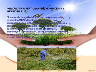 AGRICULTURA: FERTILIZANTES, PLAGUICIDAS Y
HERBICIDAS
El sector de la agricultura es uno de los que más
contaminación indirectamente produce. Los
causantes de la contaminación son los fertilizantes y
plaguicidas utilizados para la fertilidad de la tierra y
para fumigar los cultivos de las plagas que
disminuyen la producción. Estos productos a través
de las lluvias y de los riegos contaminan las aguas
superficiales y los acuíferos.

 