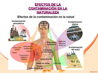 EFECTOS DE LA
CONTAMINACIÓN EN LA
NATURALEZA

 