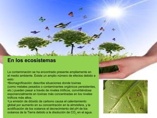 En los ecosistemas
La contaminación se ha encontrado presente ampliamente en
el medio ambiente. Existe un amplio número de efectos debido a
esto:
•Biomagnificación: describe situaciones donde toxinas
(como metales pesados o contaminantes orgánicos persistentes,
etc.) pueden pasar a través de niveles tróficos, convirtiéndose
exponencialmente en toxinas más concentradas en los niveles
tróficos más altos.
•La emisión de dióxido de carbono causa el calentamiento
global por aumento en su concentración en la atmósfera, y la
acidificación de los océanos el decrecimiento del pH de los
océanos de la Tierra debido a la disolución de CO 2 en el agua.

 