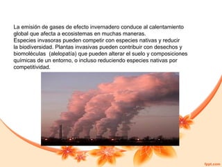 La emisión de gases de efecto invernadero conduce al calentamiento
global que afecta a ecosistemas en muchas maneras.
Especies invasoras pueden competir con especies nativas y reducir
la biodiversidad. Plantas invasivas pueden contribuir con desechos y
biomoléculas (alelopatía) que pueden alterar el suelo y composiciones
químicas de un entorno, o incluso reduciendo especies nativas por
competitividad.

 