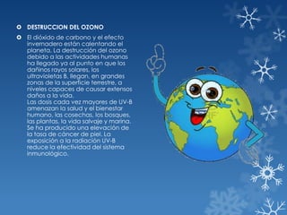  DESTRUCCION DEL OZONO
 El dióxido de carbono y el efecto
invernadero están calentando el
planeta. La destrucción del ozono
debido a las actividades humanas
ha llegado ya al punto en que los
dañinos rayos solares, los
ultravioletas B, llegan, en grandes
zonas de la superficie terrestre, a
niveles capaces de causar extensos
daños a la vida.
Las dosis cada vez mayores de UV-B
amenazan la salud y el bienestar
humano, las cosechas, los bosques,
las plantas, la vida salvaje y marina.
Se ha producido una elevación de
la tasa de cáncer de piel. La
exposición a la radiación UV-B
reduce la efectividad del sistema
inmunológico.

 