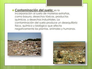  Contaminación

del suelo: es la

incorporación al suelo de materias extrañas,
como basura, desechos tóxicos, productos
químicos, y desechos industriales. La
contaminación del suelo produce un desequilibrio
físico, químico y biológico que afecta
negativamente las plantas, animales y humanos.

 