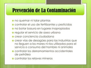 Prevención de La Contaminación










no quemar ni talar plantas
controlar el uso de fertilizantes y pesticidas
no botar basura en lugares inapropiados
regular el servicio de aseo urbano
crear conciencia ciudadana
crear vías de desagües para las industrias que
no lleguen a los mares ni ríos utilizados para el
servicio o consumo del hombre ni animales
controlar los derramamientos accidentales
de petróleo
controlar los relaves mineros

 